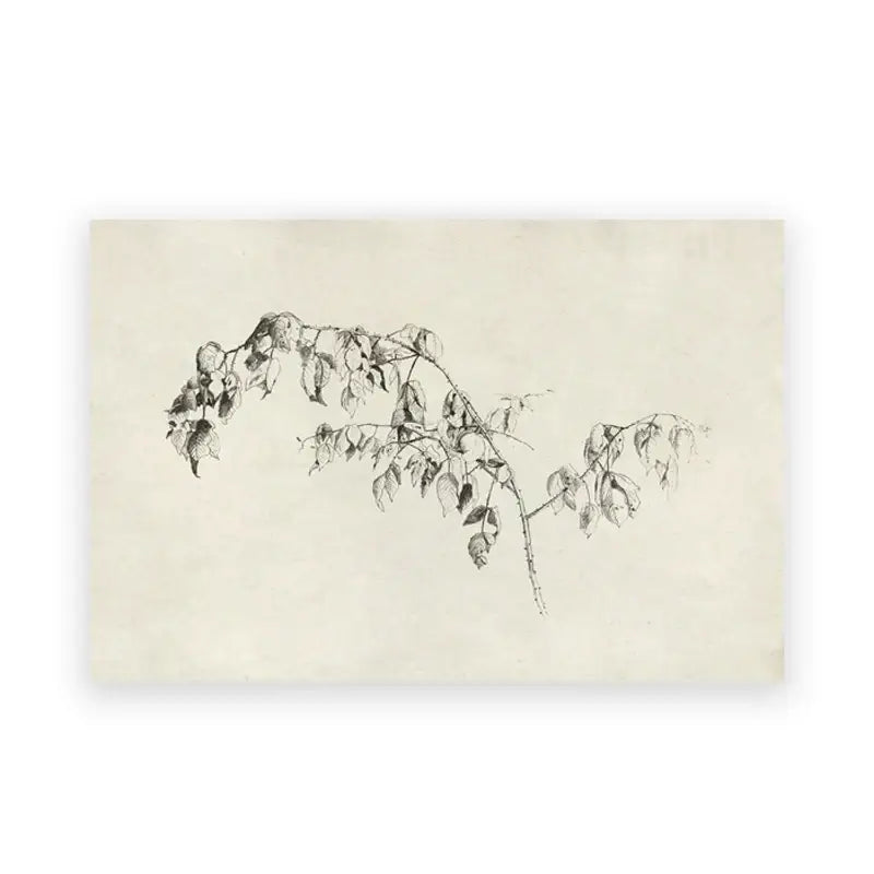 A delicate black ink sketch of a leafy branch on aged paper in decorbites vintage farmhouse landscape canvas wall art