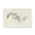 A delicate black ink sketch of a leafy branch on aged paper in decorbites vintage farmhouse landscape canvas wall art