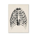 DecorBites vintage human anatomy canvas art print featuring black ink line art of a human ribcage on off-white paper
