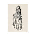 Anatomical illustration print of a human foot skeleton on textured off-white paper vintage human anatomy canvas art print