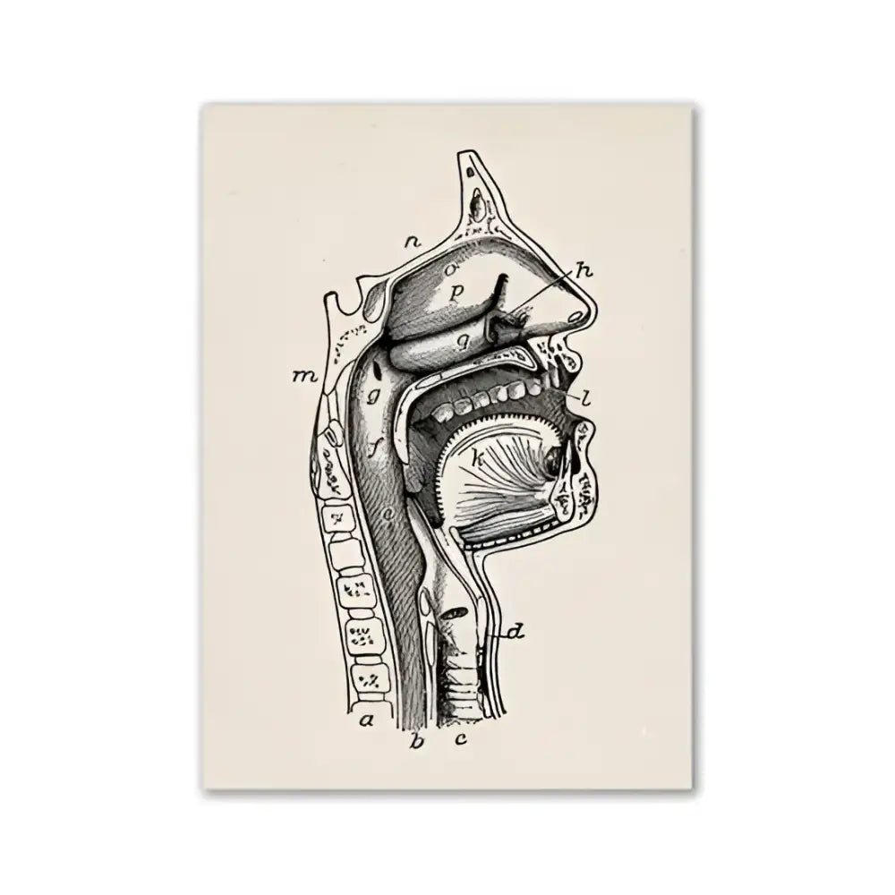 DecorBites™ vintage human anatomy canvas wall art featuring detailed black ink cross-section of head and neck