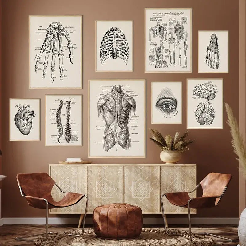 Set of nine framed black and white vintage human anatomy illustrations featuring skeletal structures for wall decor
