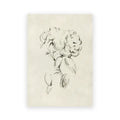 A delicate black ink sketch of a blooming peony on cream paper featured in decorbites vintage summer landscape oil painting print