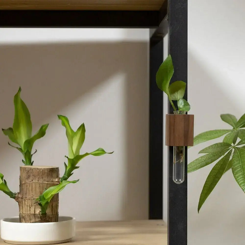 DecorBites™ Wooden Magnetic Test Tube Vase for DIY Flower Arrangement