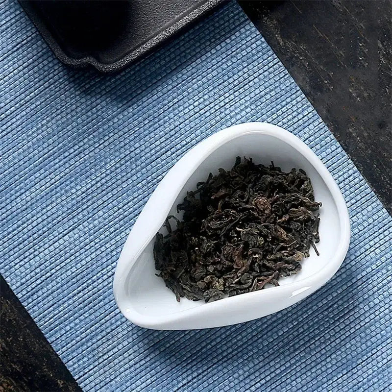 Elegant white ceramic dose trays and tea spoon set for kitchen