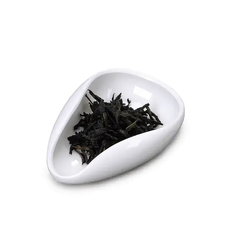 Elegant white ceramic dose trays and tea spoon set for kitchen