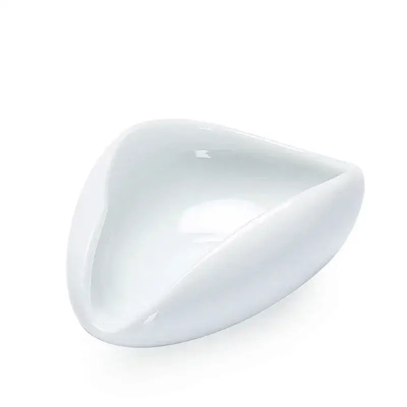 Elegant white ceramic dose trays and tea spoon set for kitchen