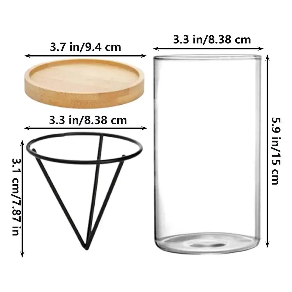 Hydroponic Avocado Planting Set Glass