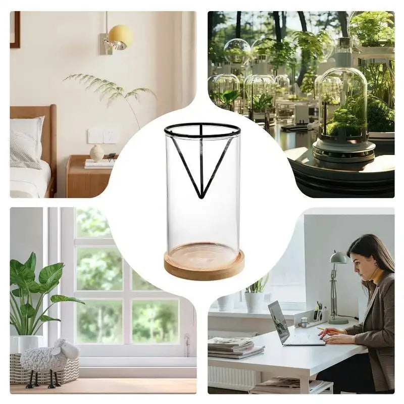 Hydroponic Avocado Planting Set Glass