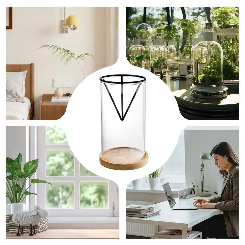 Hydroponic Avocado Planting Set Glass
