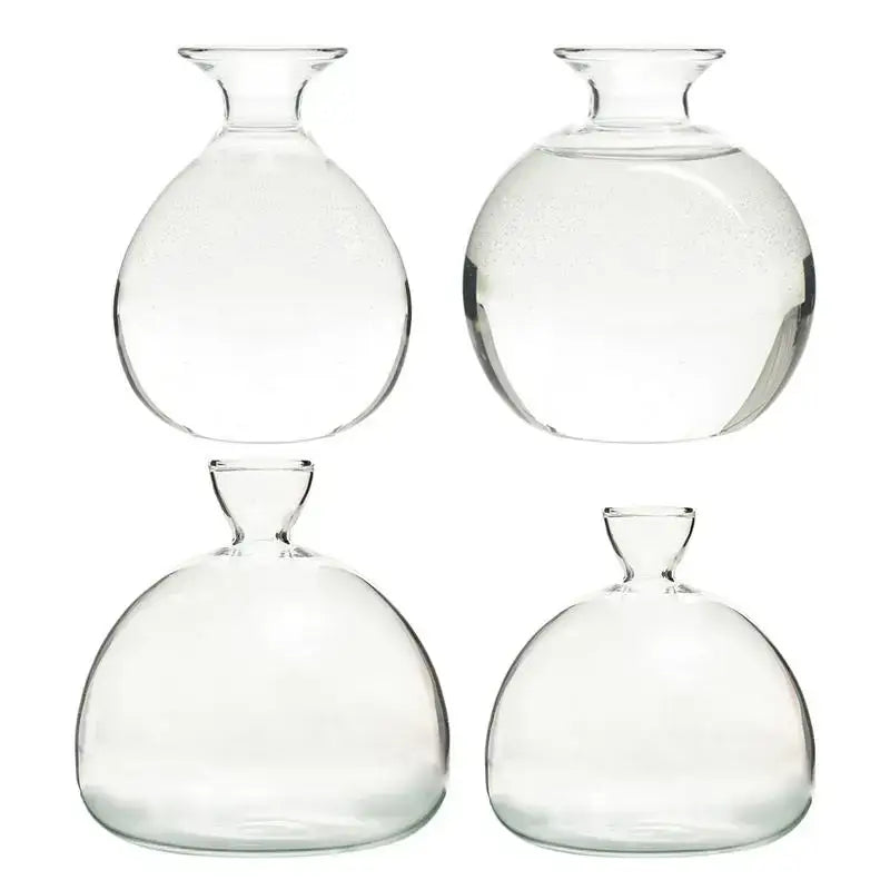 Hydroponic Avocado Seed Vase
