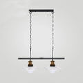 Black metal pendant light fixture with two clear glass shades and brass accents for kitchen island lighting