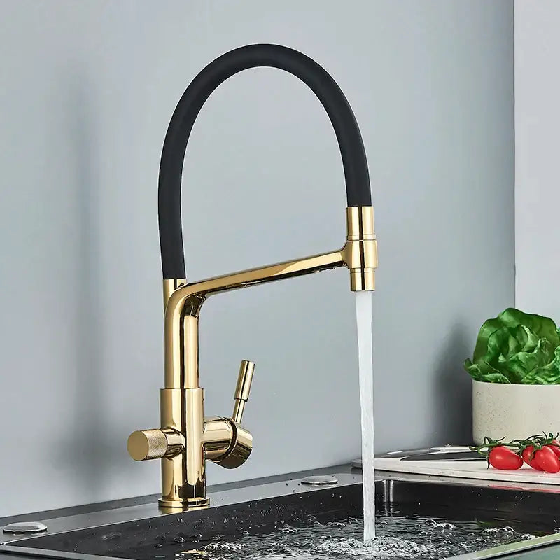 Matte black dual spout kitchen water filter faucet 360 rotation
