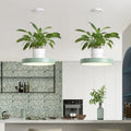 DecorBites™ Brooklyn round macaron LED pendant light in mint green acrylic with white planters holding lush foliage