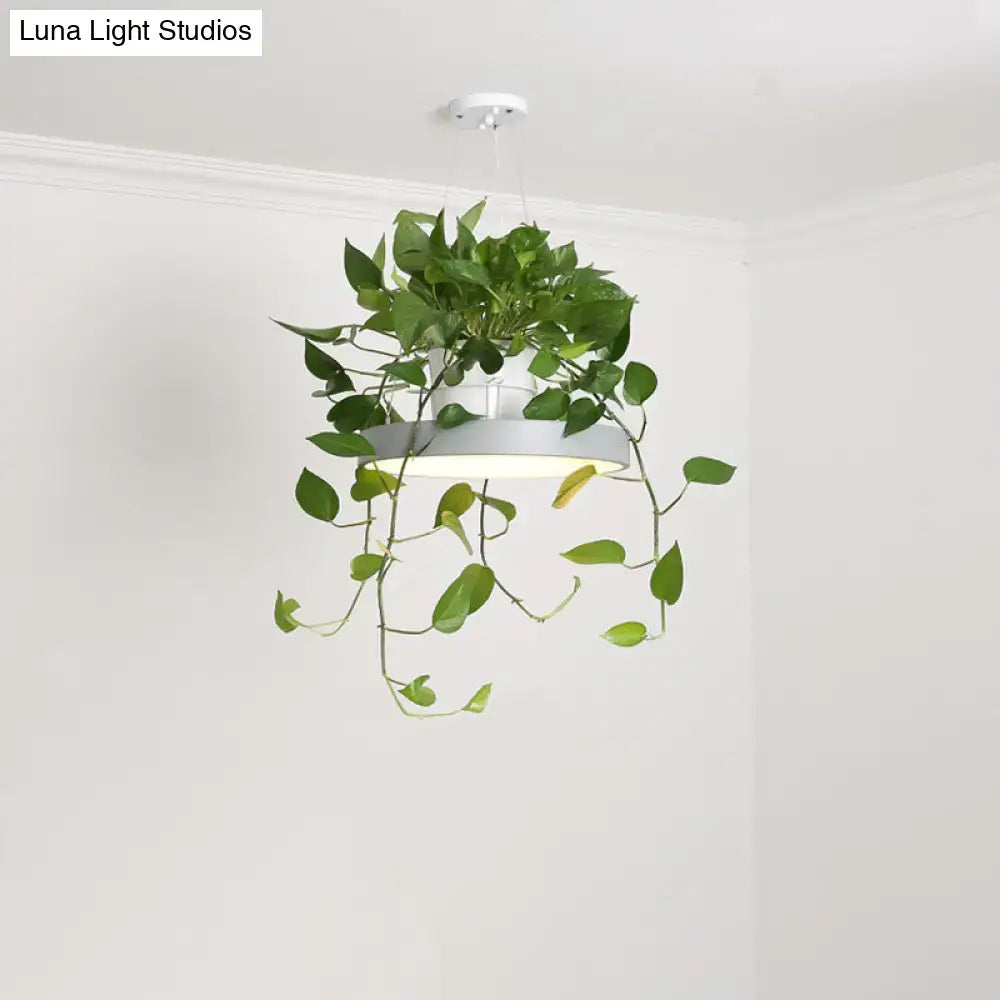Decorbites brooklyn round macaron hanging light in white acrylic with integrated led and top pot for cascading ivy vines