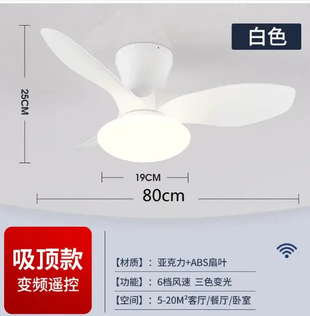 Modern black ceiling fan lamp for living room with remote control