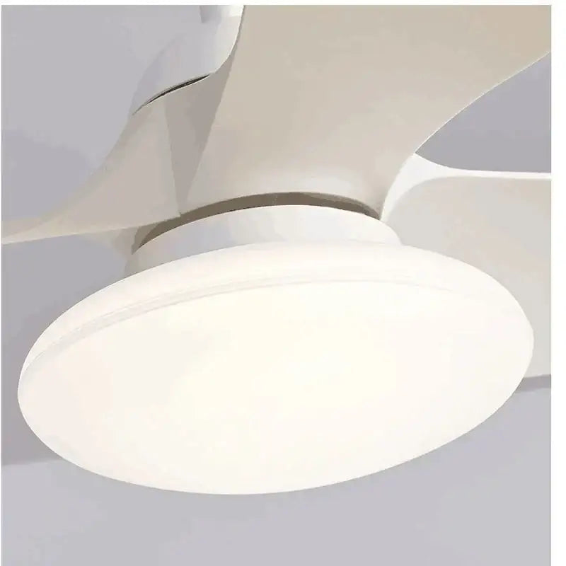 Modern black ceiling fan lamp for living room with remote control