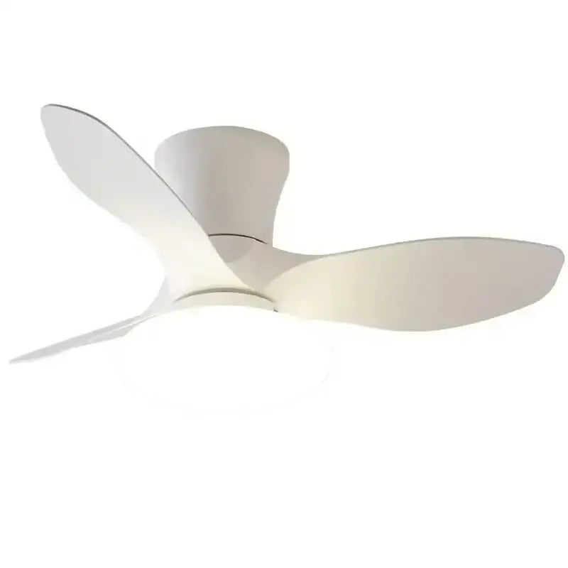 Modern black ceiling fan lamp for living room with remote control