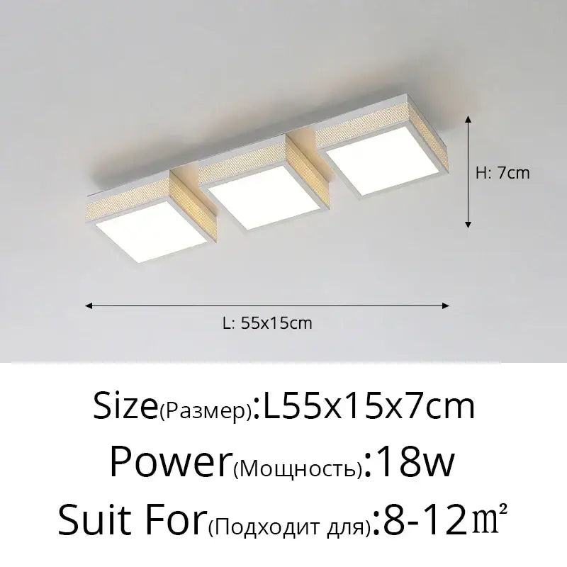 Modern black & white mesh led ceiling lights bedroom square fixture