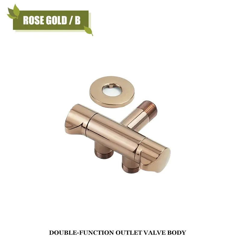 Modern brushed gold angled dual outlet toilet filling valve bathroom