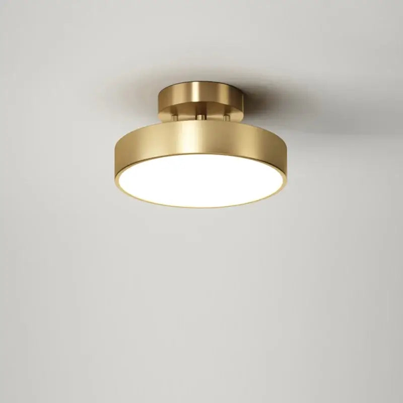 Modern circular brass led ceiling chandelier for living room