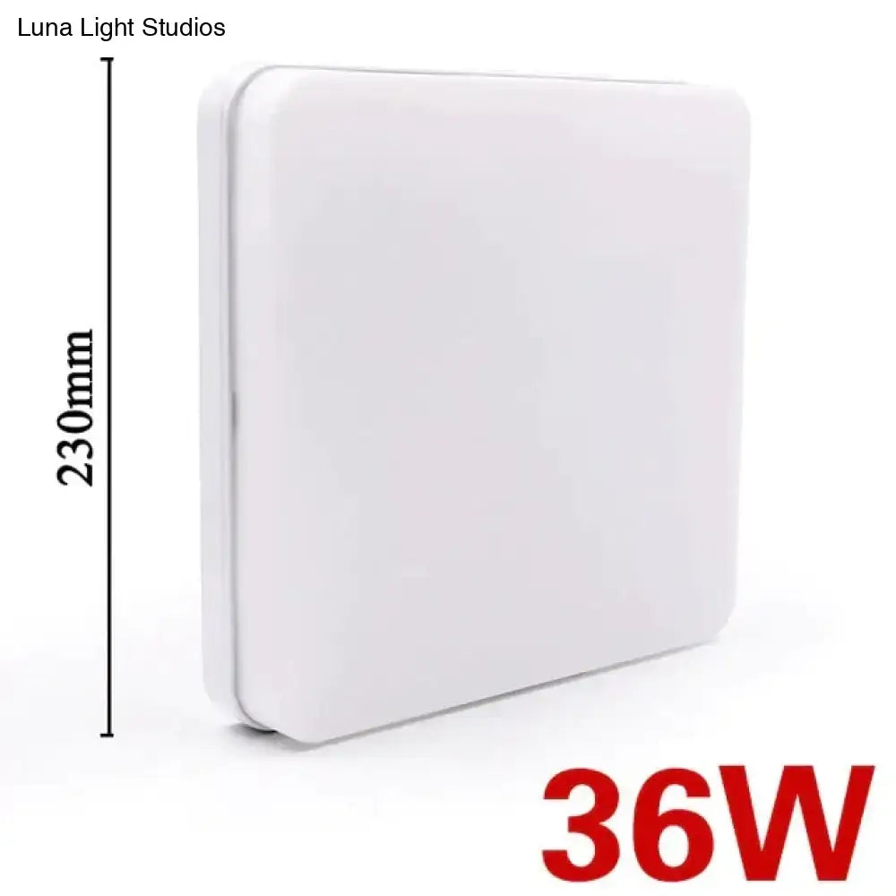 Modern gold surface mounted led ceiling light for living room 24w 36w 48w