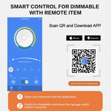 NEO Gleam Modern Led Ceiling Lights Lamp