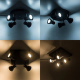 Multiple 5 heads black Iron led Ceiling Lights